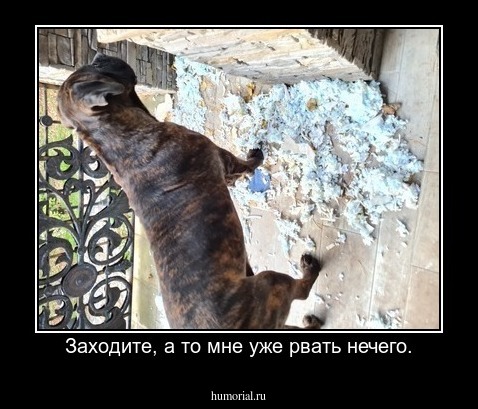 Заходите, а то мне уже рвать нечего.