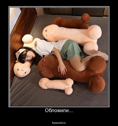 Обложили...