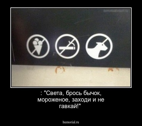 : "Света, брось бычок, мороженое, заходи и не гавкай!"
