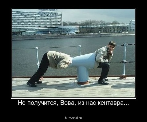 Не получится, Вова, из нас кентавра...