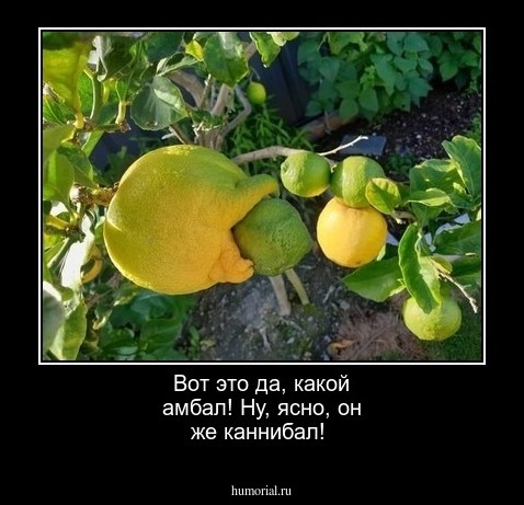 Вот это да, какой амбал!
Ну, ясно, он же каннибал!