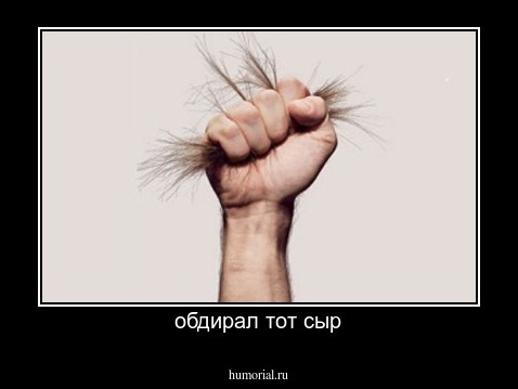 обдирал тот сыр