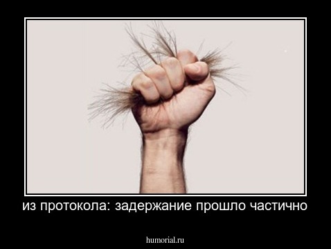 из протокола: задержание прошло частично