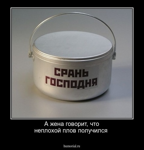 А жена говорит, что неплохой плов получился