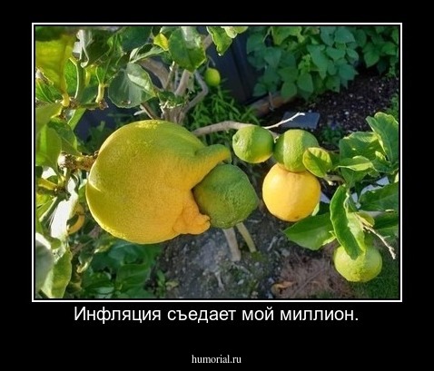 Инфляция съедает мой миллион.
