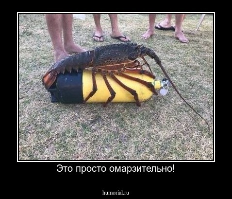Это просто омарзительно!