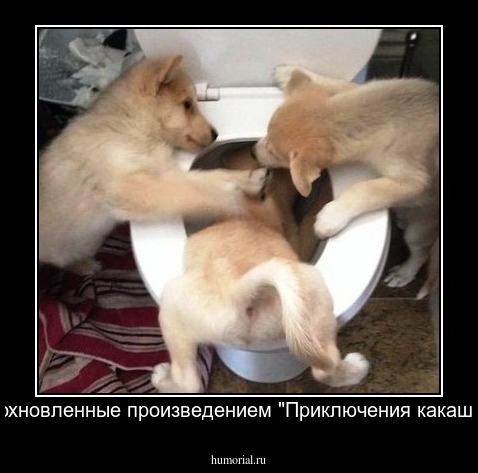 Вдохновленные произведением "Приключения какашки"