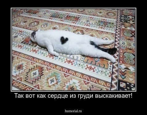 Так вот как сердце из груди выскакивает!