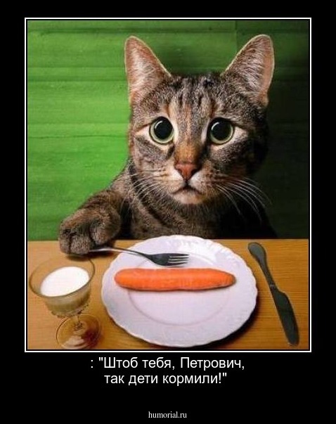  : "Штоб тебя, Петрович, так дети кормили!"