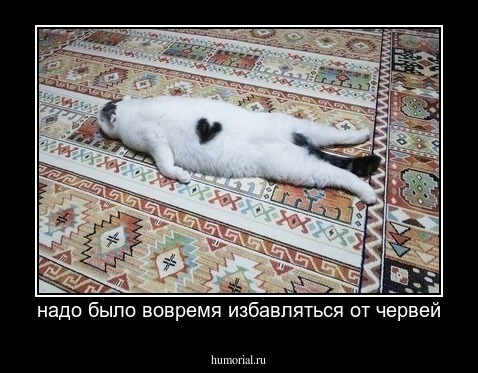 надо было вовремя избавляться от червей