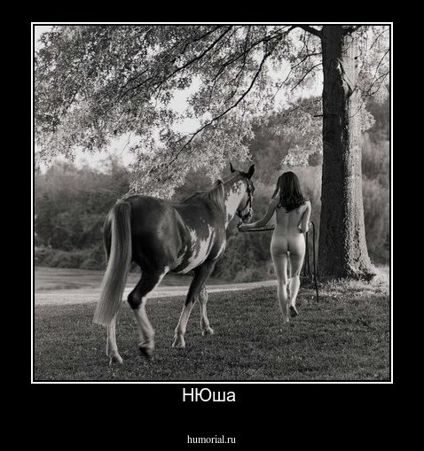 НЮша 