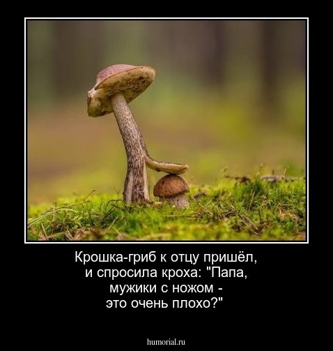 Крошка-гриб к отцу пришёл, и спросила кроха: "Папа, мужики с ножом - это очень плохо?"