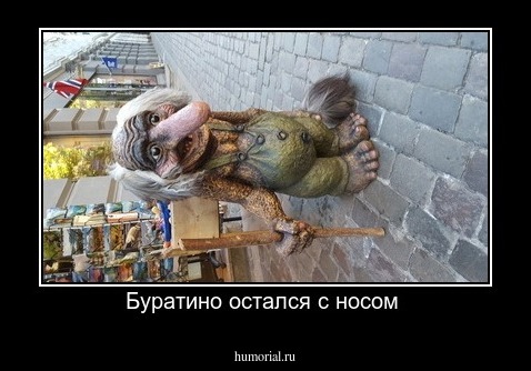 Буратино остался с носом 