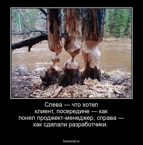 Слева — что хотел клиент, посередине — как понял проджект-менеджер, справа — как сделали разработчики.