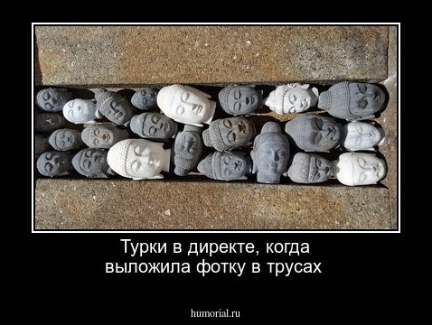 Турки в директе, когда выложила фотку в трусах