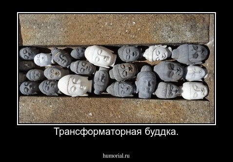 Трансформаторная буддка.