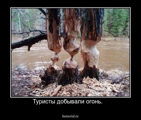Туристы добывали огонь.   