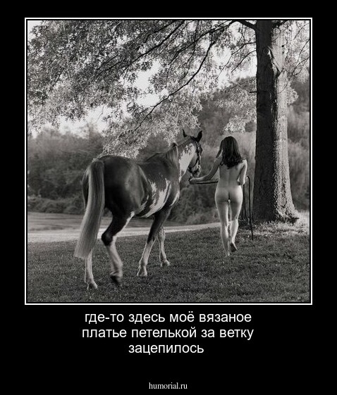 где-то здесь моё вязаное платье петелькой за ветку зацепилось