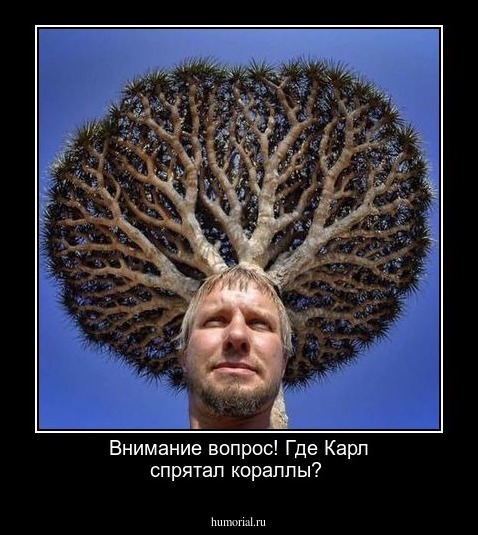 Внимание вопрос! Где Карл спрятал кораллы? 