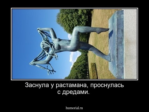 Заснула у растамана, проснулась с дредами.