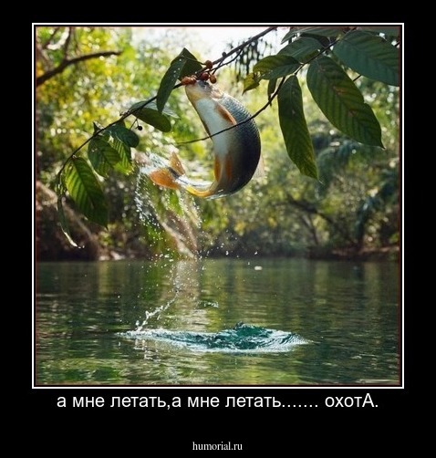 а мне летать,а мне летать....... охотА.