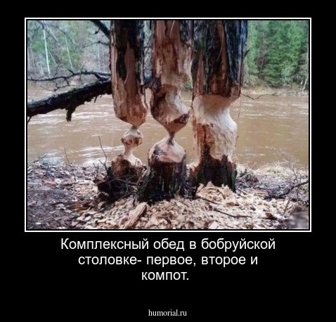 Комплексный обед в бобруйской столовке- первое, второе и компот.