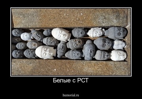 Белые с РСТ