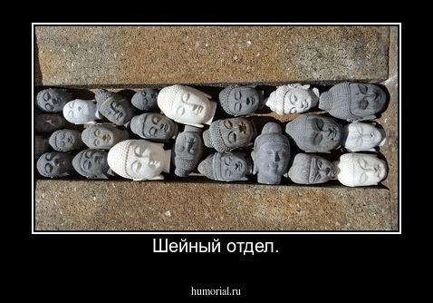 Шейный отдел.