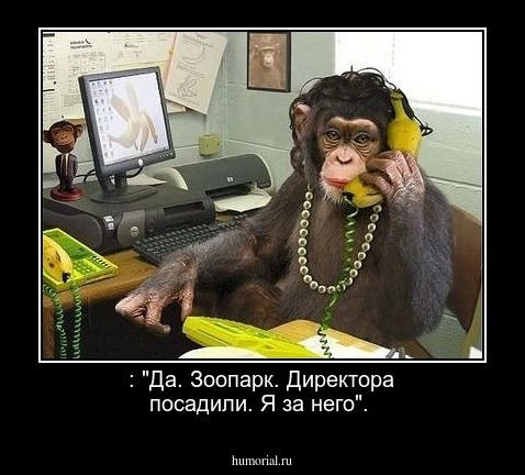  : "Да. Зоопарк. Директора посадили.  Я за него".