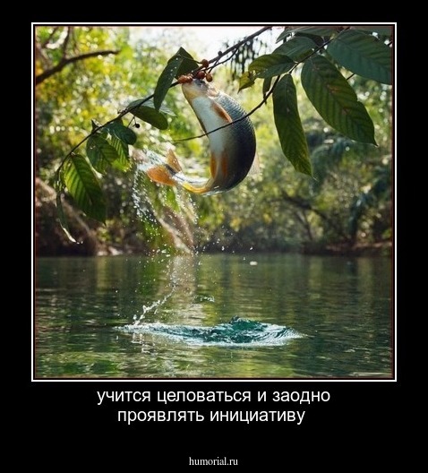 учится целоваться и заодно проявлять инициативу