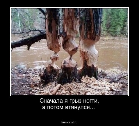 Сначала я грыз ногти, а потом втянулся...