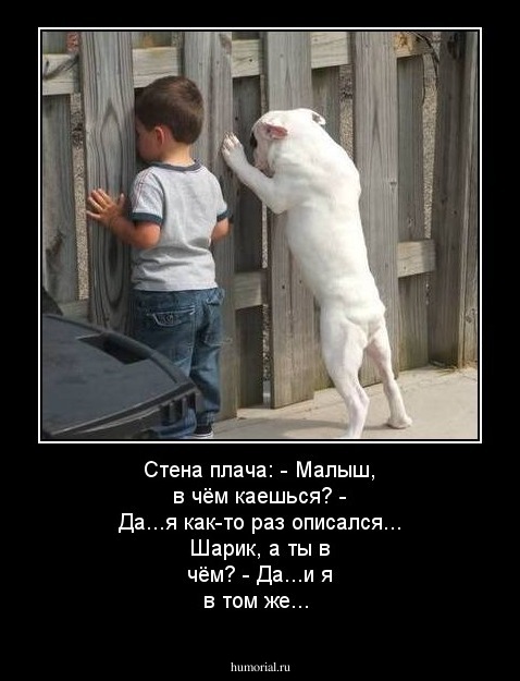 Стена плача:
- Малыш, в чём каешься?
- Да...я как-то раз описался...
Шарик, а ты в чём?
- Да...и я в том же...