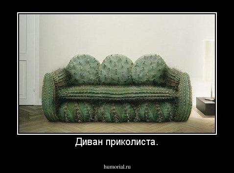 Диван приколиста.
