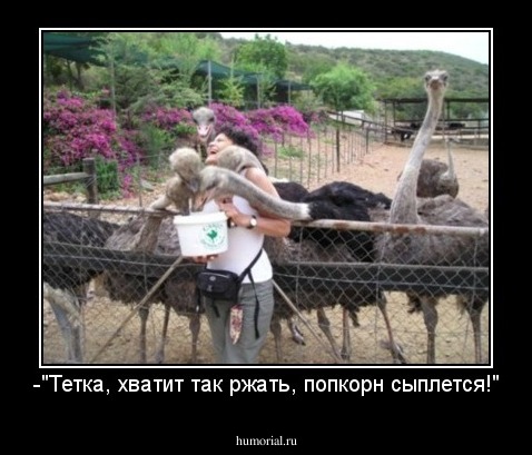 -"Тетка, хватит так ржать, попкорн сыплется!"
