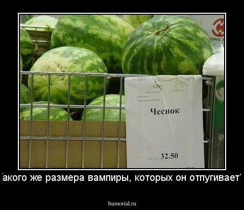 Какого же размера вампиры, которых он отпугивает? 