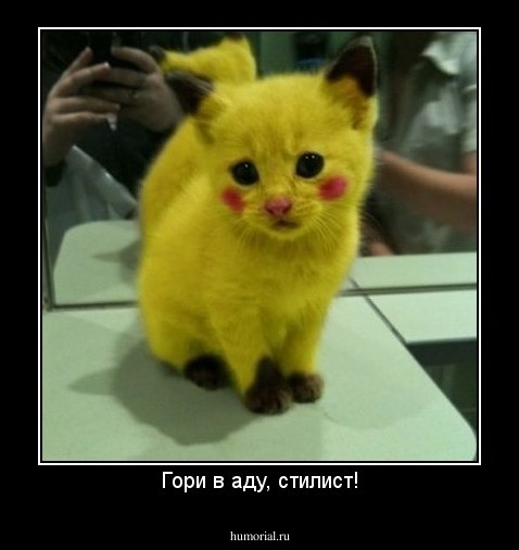 Гори в аду, стилист!