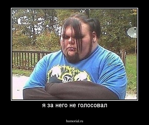 я за него не голосовал