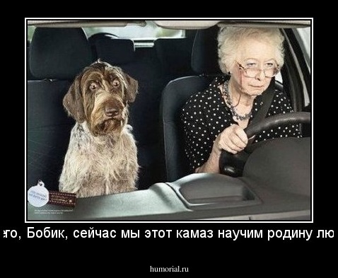 Ничего, Бобик, сейчас мы этот камаз научим родину любить