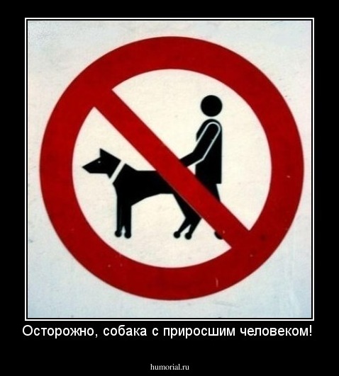 Осторожно, собака с приросшим человеком! 