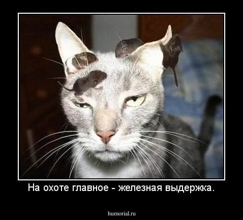 На охоте главное - железная выдержка.