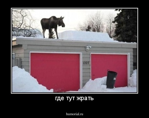 где тут жрать