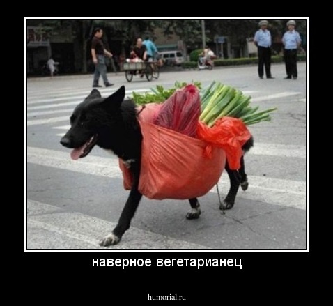наверное вегетарианец