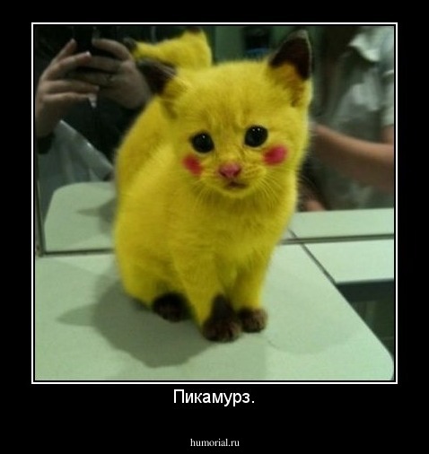 Пикамурз.