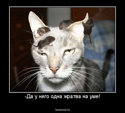-Да у него одна жратва на уме!