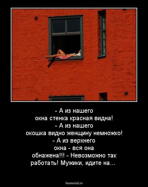 - А из нашего окна стенка красная видна!
- А из нашего окошка видно женщину немножко!
- А из верхнего окна - вся она обнажена!!!
- Невозможно так работать! Мужики, идите на...