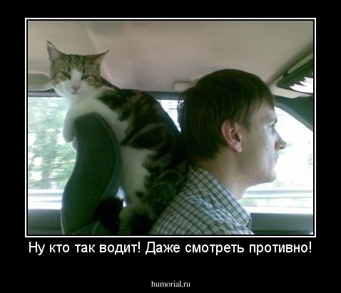 Ну кто так водит! Даже смотреть противно!