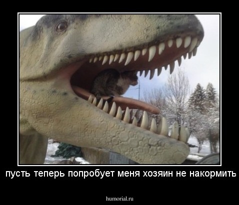  пусть теперь попробует меня хозяин не накормить