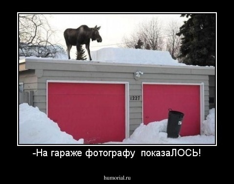 -На гараже фотографу  показаЛОСЬ!