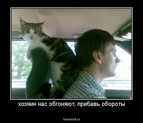 хозяин нас обгоняют, прибавь обороты