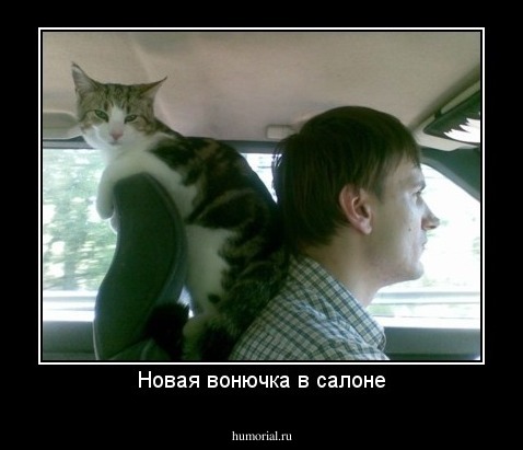 Новая вонючка в салоне